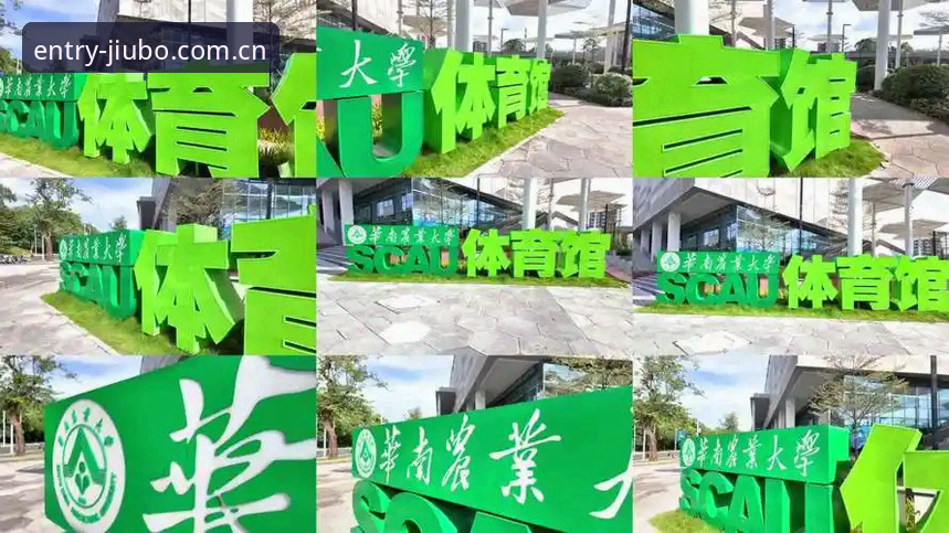 九博体育无缝登录使用指南详解